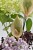 DSC_0107.jpg