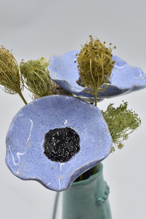 DSC_0165.jpg