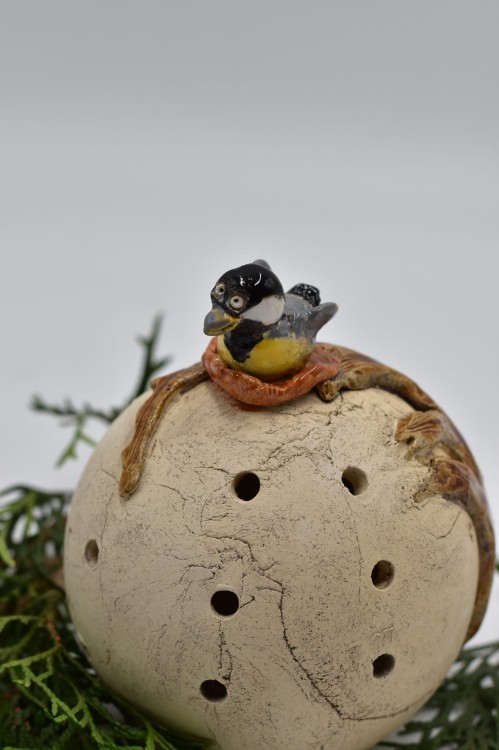 DSC_0145.jpg
