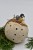 DSC_0147.jpg