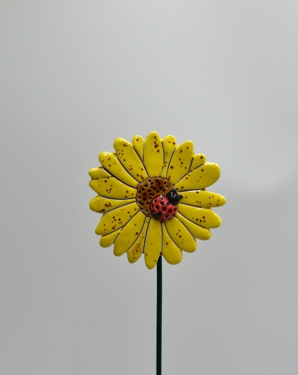 DSC_0532.jpg