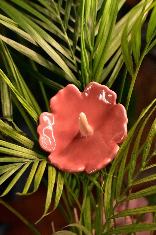 DSC_0357.jpg