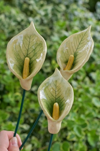 DSC_1042.jpg
