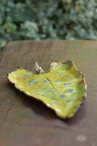 DSC_0289.jpg