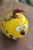 DSC_0254-2.jpg