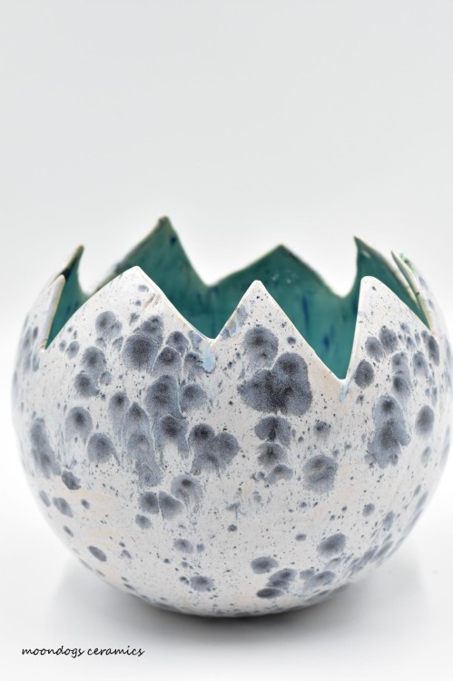 DSC_0578.jpg